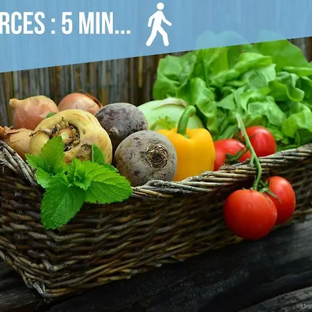 L'escale - Les Maisons De Madeleine Appartamento